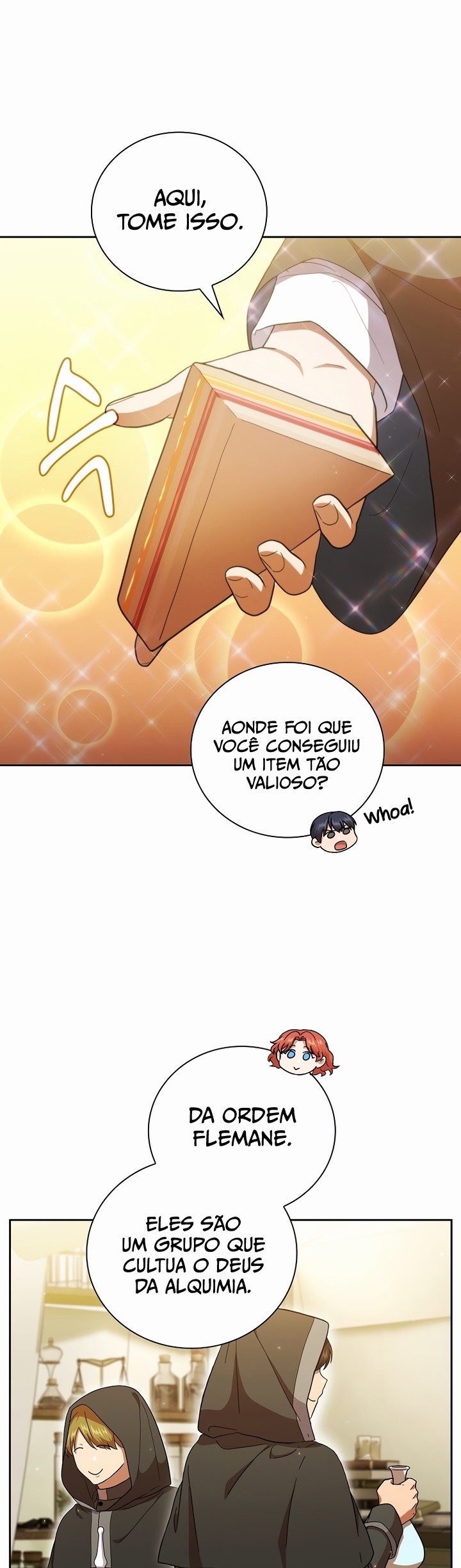 Página 17